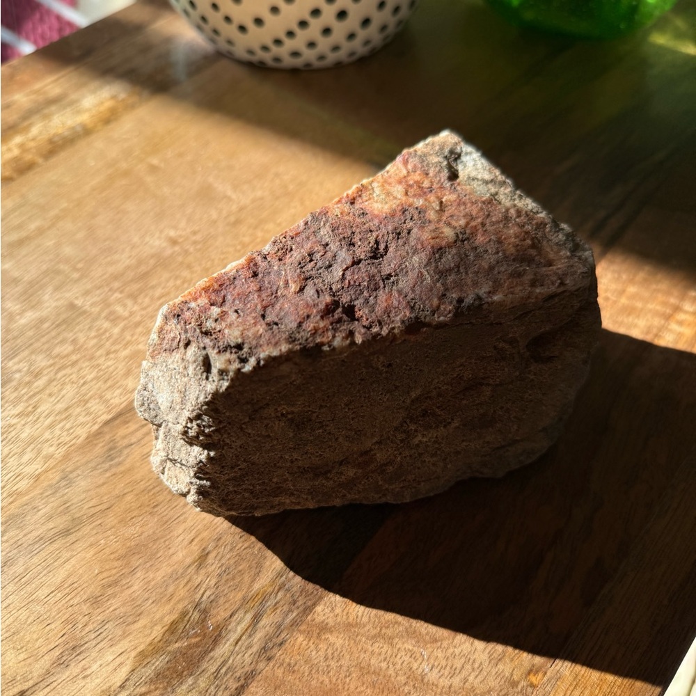 Petrified wood Natural Stone Decor Piece rare red and brown healing 5”